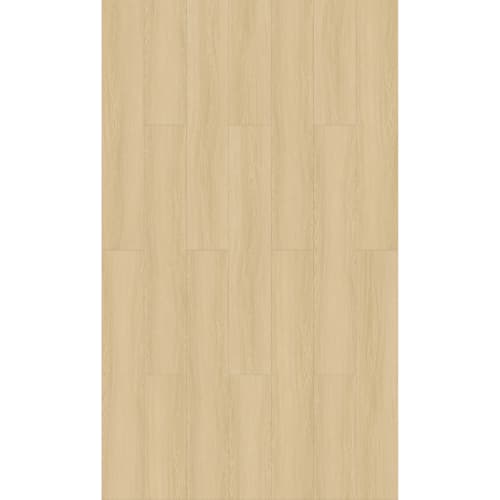 Barnsley in Oglethorpe Square