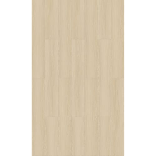 Cloudland in Whitaker Street