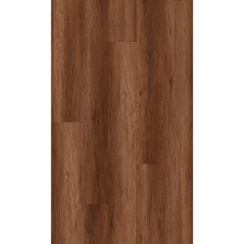 Cloudland in Ellis Square