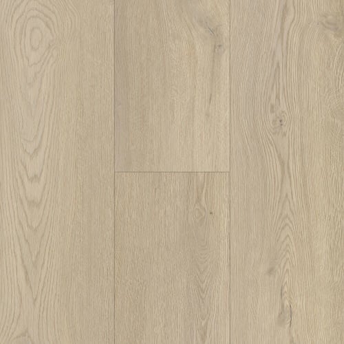 Modern Choice in Sierra