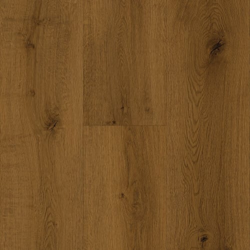 Modern Choice in Targee