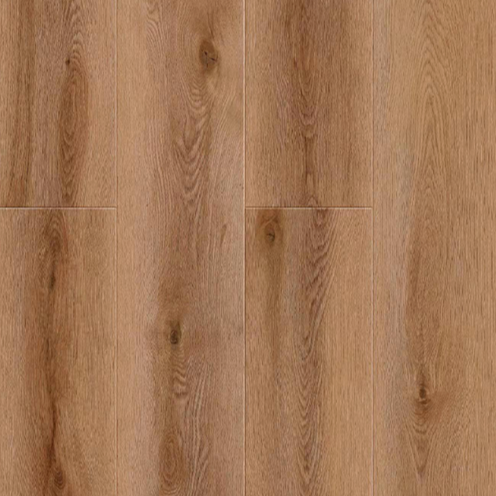 Suwannee River in Arcadia