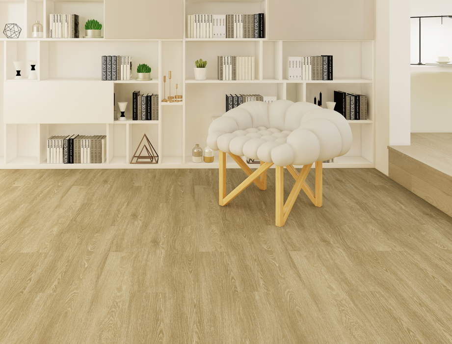 Hudson River in Stream