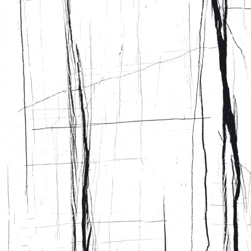 Mohave Nero in Blanco - Polished Tile flooring by Proximity Mills