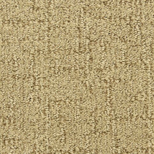 Seahaven in Accolade Carpet Flooring by Proximity Mills