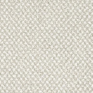 Chantara in Enrich Carpet Flooring by Proximity Mills