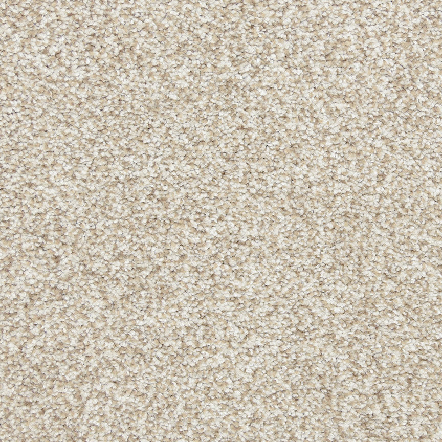Oceanfront in Butterscotch Carpet Flooring by Proximity Mills