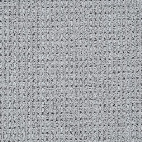 Calypso in Stone Carpet Flooring by Proximity Mills