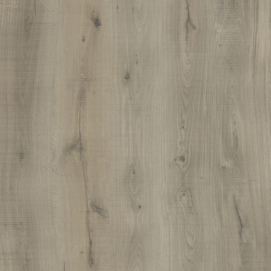 Dorn River in NorthBrook