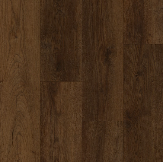 Savannah River in Oglethorpe