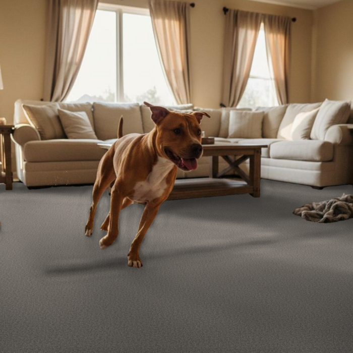 Best Carpet for Large Dogs