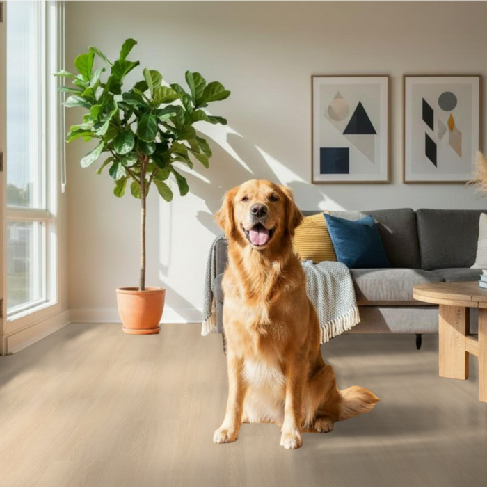 most durable flooring for dogs by Proximity Mills