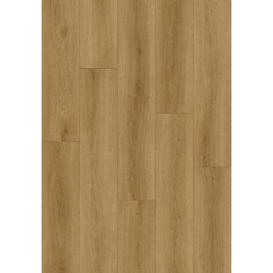 Barnsley in Orleans Square