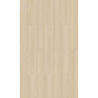 Cloudland in Whitaker Street