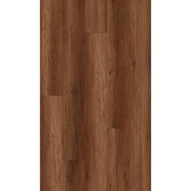 Cloudland in Ellis Square