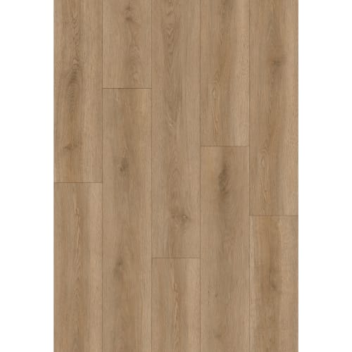 Cloudland in Johnson Square