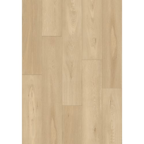 Wilmington River in Oglethorpe Ave