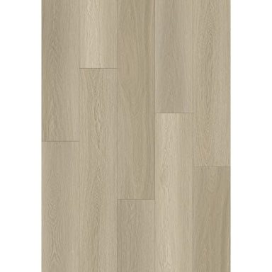 Wilmington River in Barnard Street