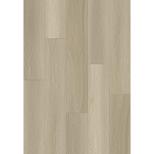 Wilmington River in Barnard Street