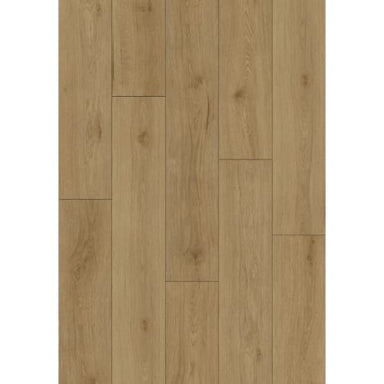 Wilmington River in Jones Street