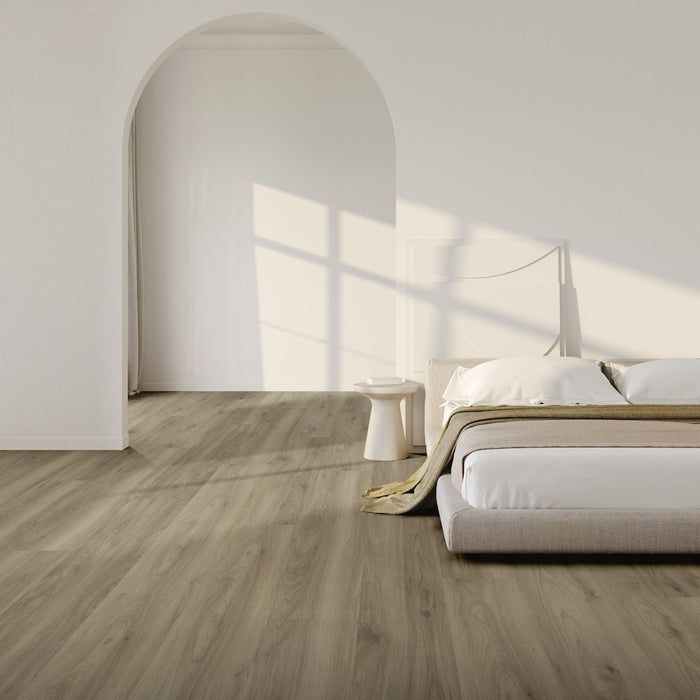 Modern Solution in Ghent