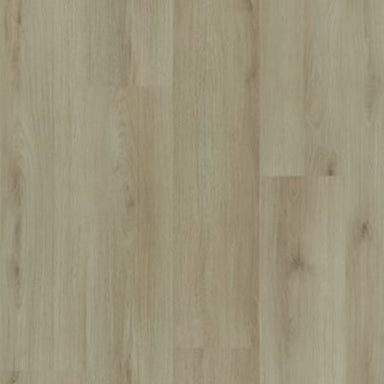 Modern Solution in Bruges