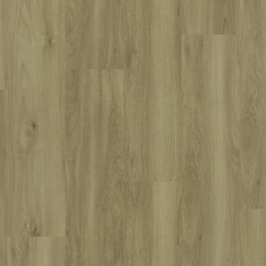 Modern Solution in Ghent