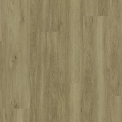 Modern Solution in Ghent