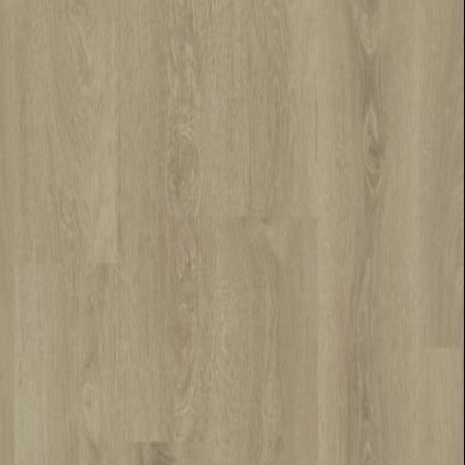 Modern Solution in Namur