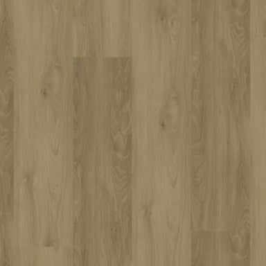 Modern Solution in Ostend