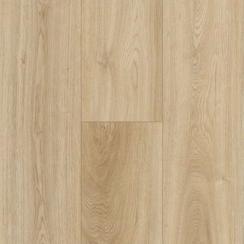 Modern Choice in Allegheny