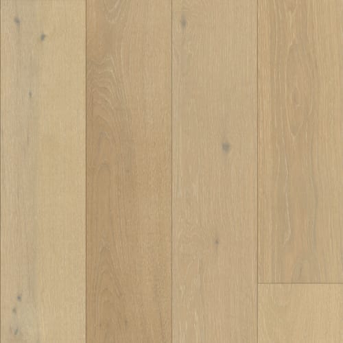 Ridge in Eastern Oak