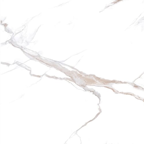 Marble Polished in Bronzo - Polished Tile flooring by Proximity Mills