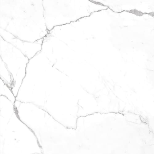 Marble Polished in Perla - Polished Tile flooring by Proximity Mills