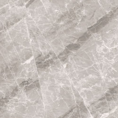 Tanami in Grigio - Polished Tile flooring by Proximity Mills