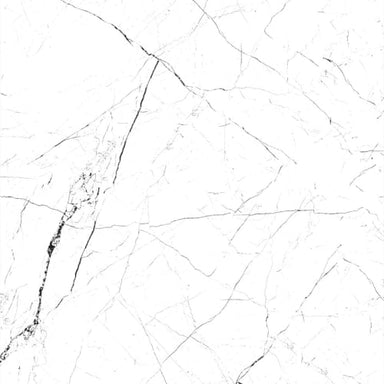 Divina in Blanco Tile flooring by Proximity Mills