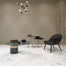 Marble Polished in Perla - Polished