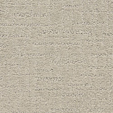 Eagle Glen in Silver Medal Carpet Flooring by Proximity Mills
