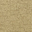 Seahaven in Accolade Carpet Flooring by Proximity Mills