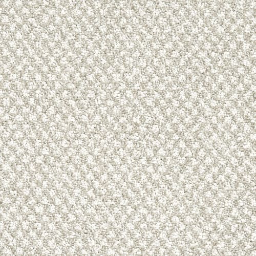Chantara in Enrich Carpet Flooring by Proximity Mills
