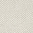 Chantara in Enrich Carpet Flooring by Proximity Mills