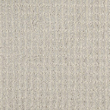 Osprey in Scenic Drive Carpet Flooring by Proximity Mills