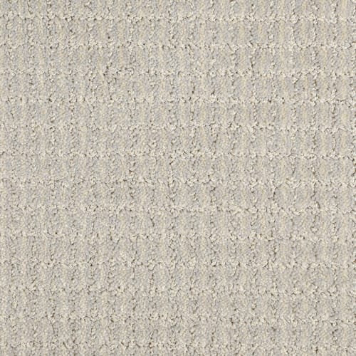 Osprey in Scenic Drive Carpet Flooring by Proximity Mills