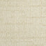 Palm Grove in Farrago Carpet Flooring by Proximity Mills
