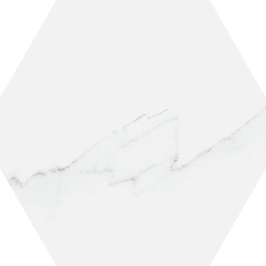 Villa in Carrara Hex Tile flooring by Proximity Mills