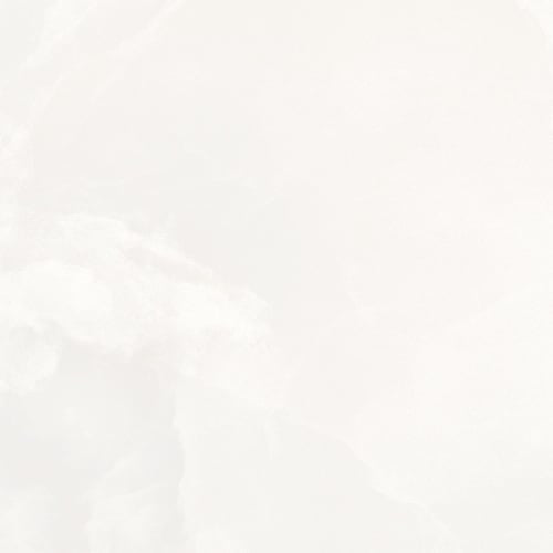 Elegance in Bianco Matte 12"x24"