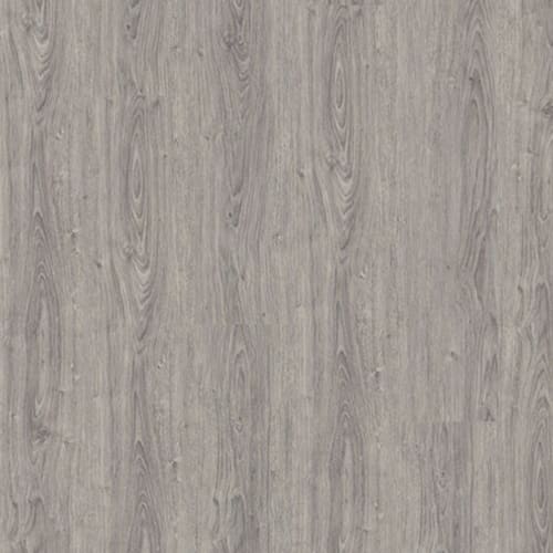 Hudson River in Footprint