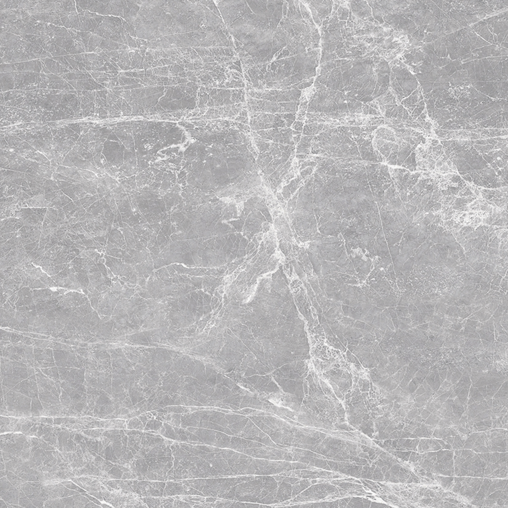 Earth in Grigio Polished Tile flooring by Proximity Mills