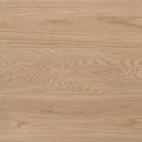 Pioneer in Roble Oak